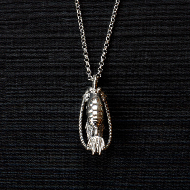 Calanoida copepod pendant in sterling silver by ontogenie