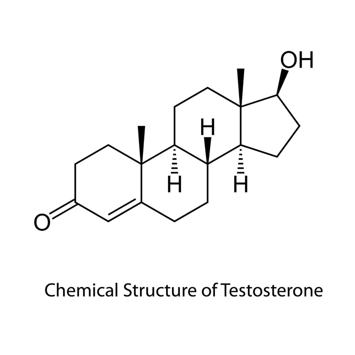 Chemical structure of testosterone