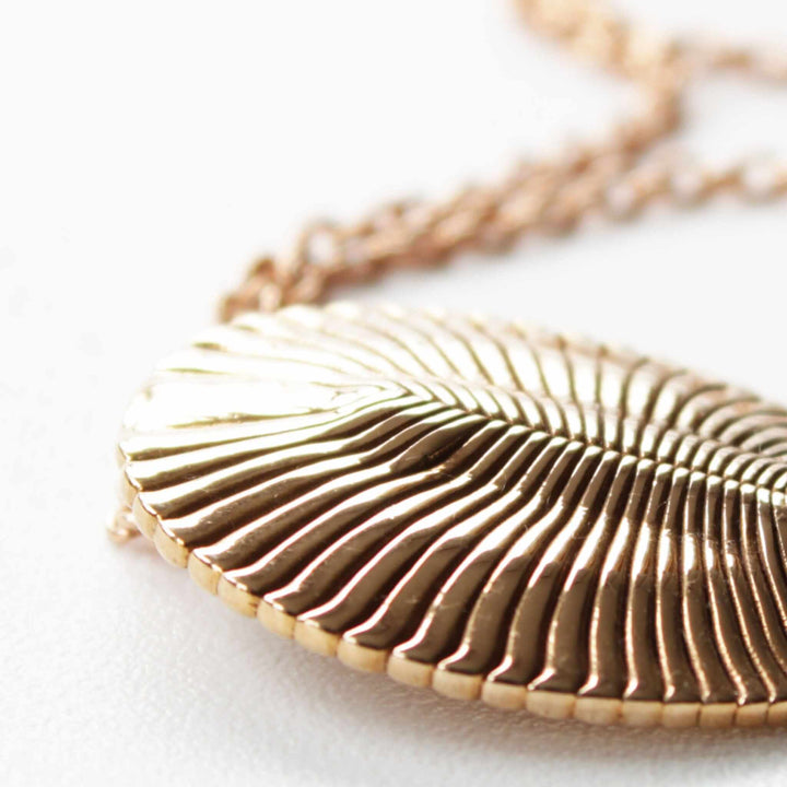 dickinsonia fossil bronze pendant ontogenie science jewelry