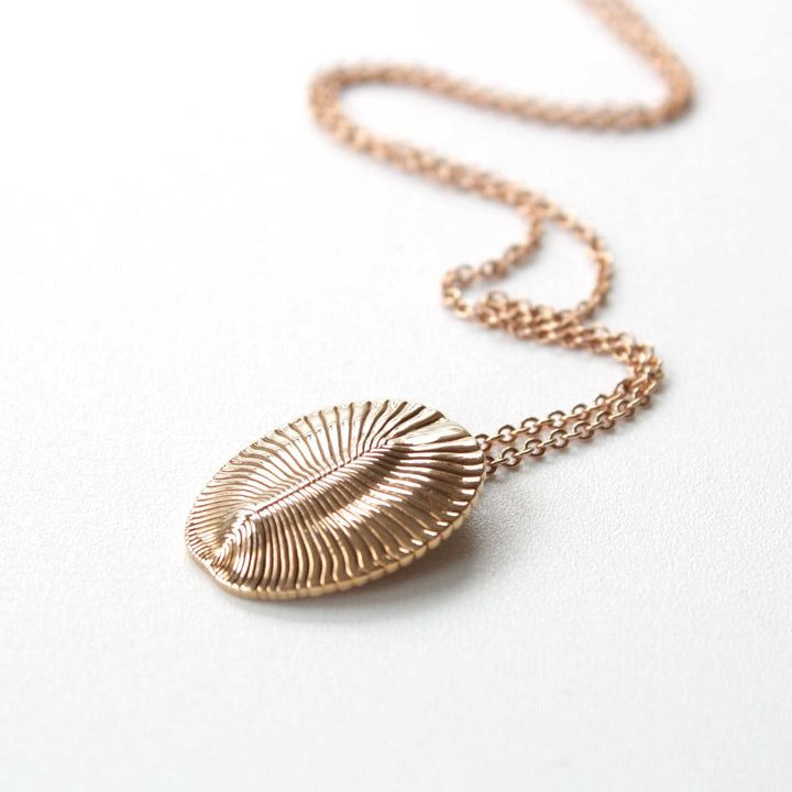 dickinsonia fossil bronze pendant ontogenie science jewelry