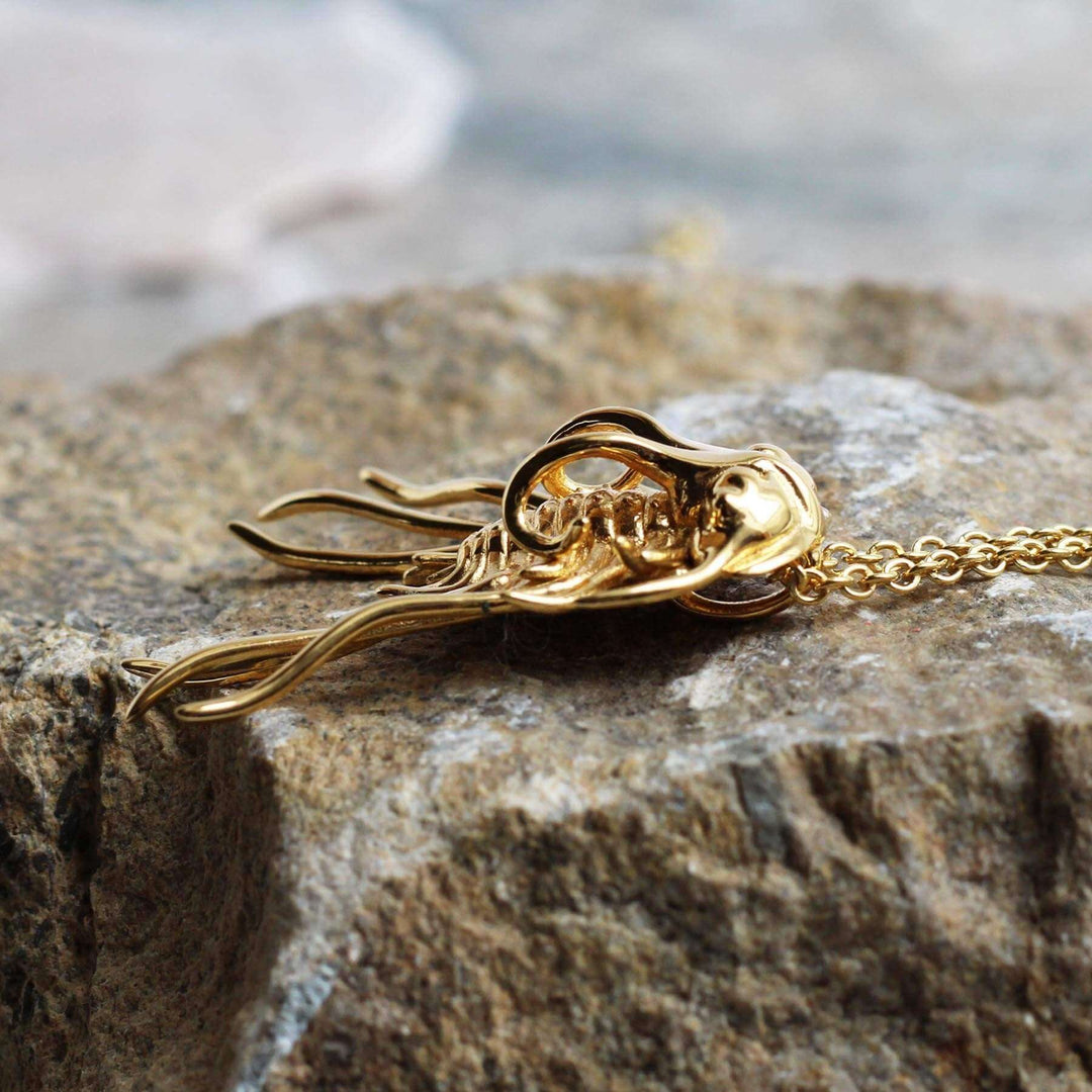 Dicranurus Trilobite Gold plated brass Ontogenie Science Jewelry