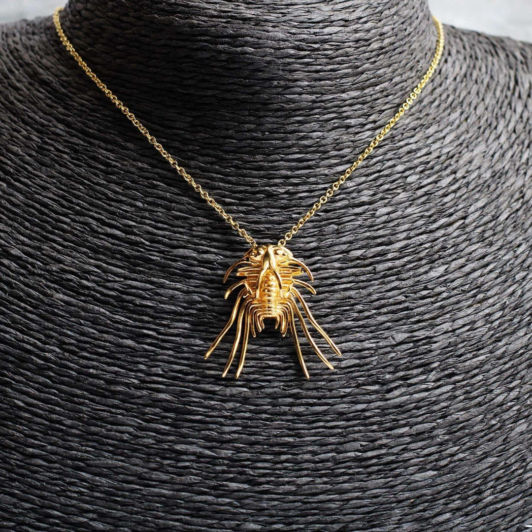Dicranurus Trilobite Gold plated brass Ontogenie Science Jewelry