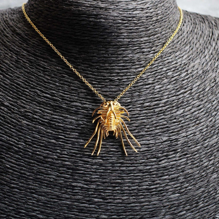 Dicranurus Trilobite Gold plated brass Ontogenie Science Jewelry