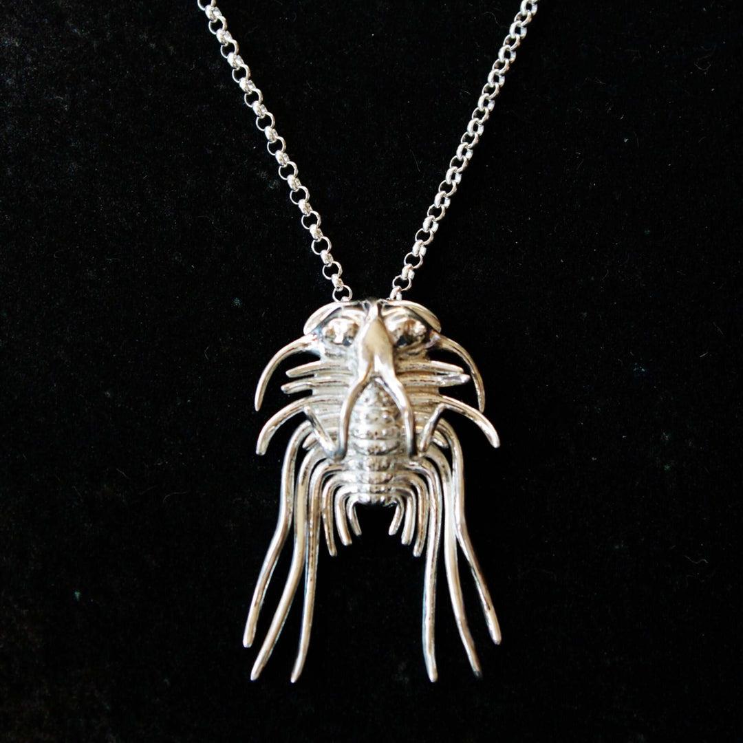 dicranurus trilobite pendant in silver ontogenie science jewelry
