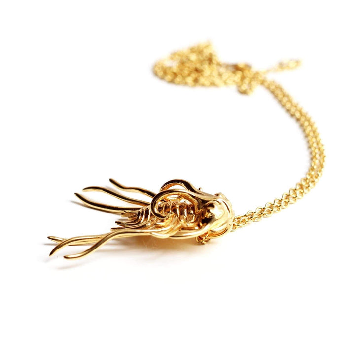 Dicranurus Trilobite Gold plated brass Ontogenie Science Jewelry