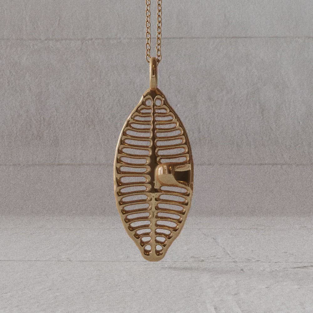 Diatom Planothidium pendant bronze rotate video