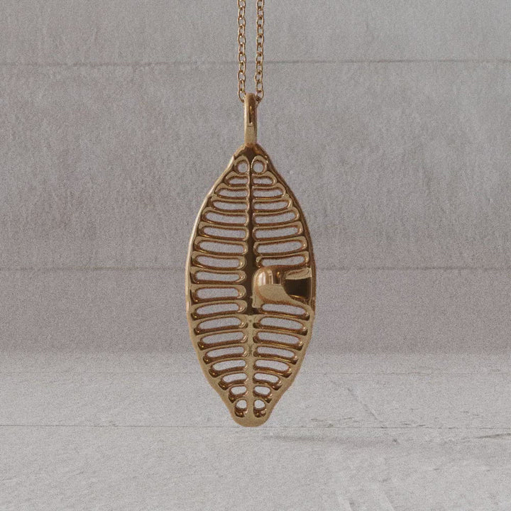 Diatom Planothidium pendant bronze rotate video