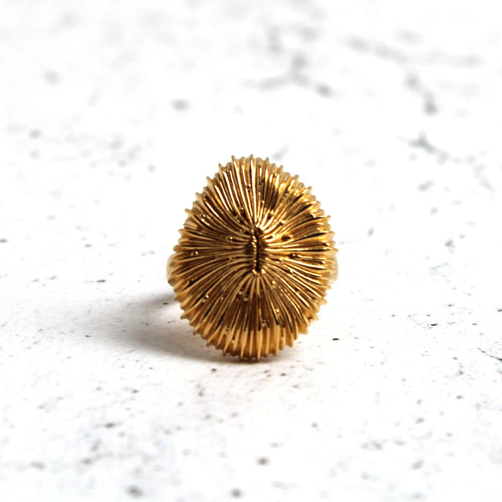 Stony coral ring Fungia in gold plated brass by ontogenie science jewelry