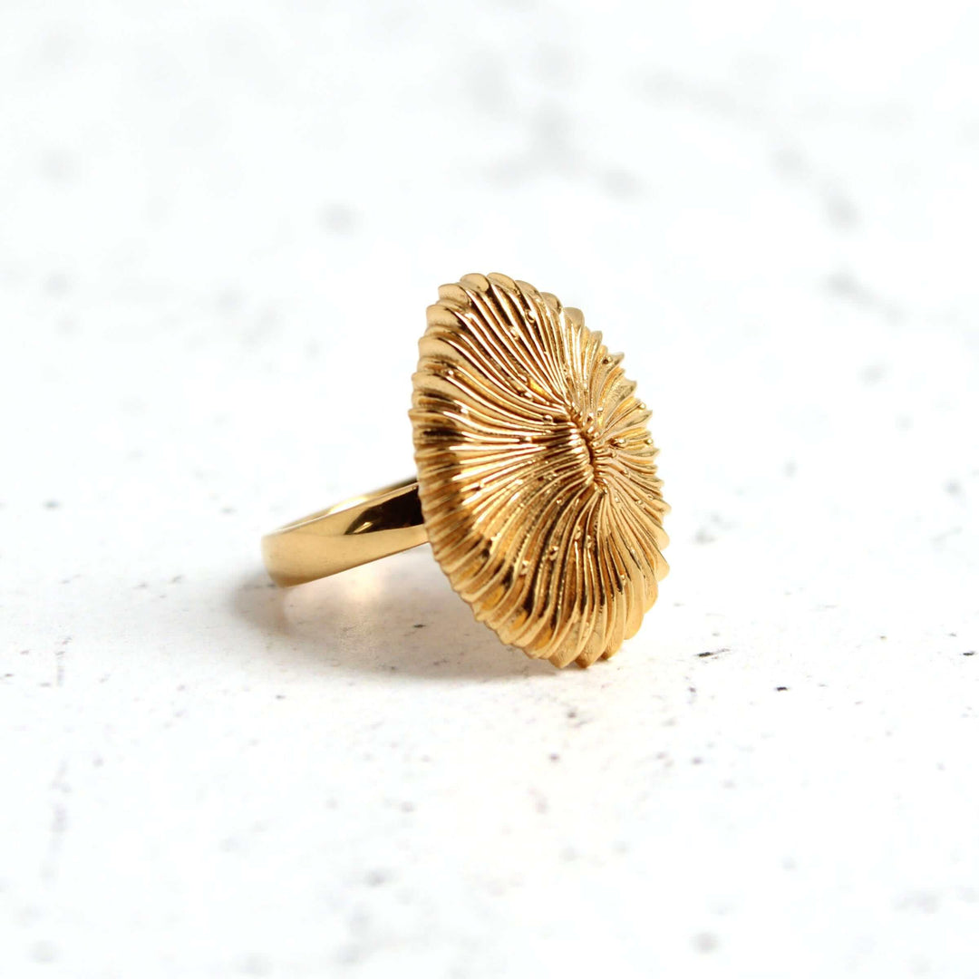 Stony coral ring Fungia in gold plated brass by ontogenie science jewelry