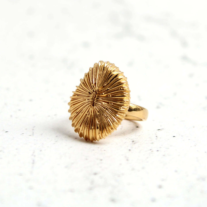 Stony coral ring Fungia in gold plated brass by ontogenie science jewelry