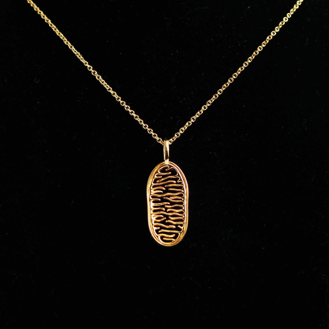 Mitochondrion pendant 14K goldplated brass Ontogenie