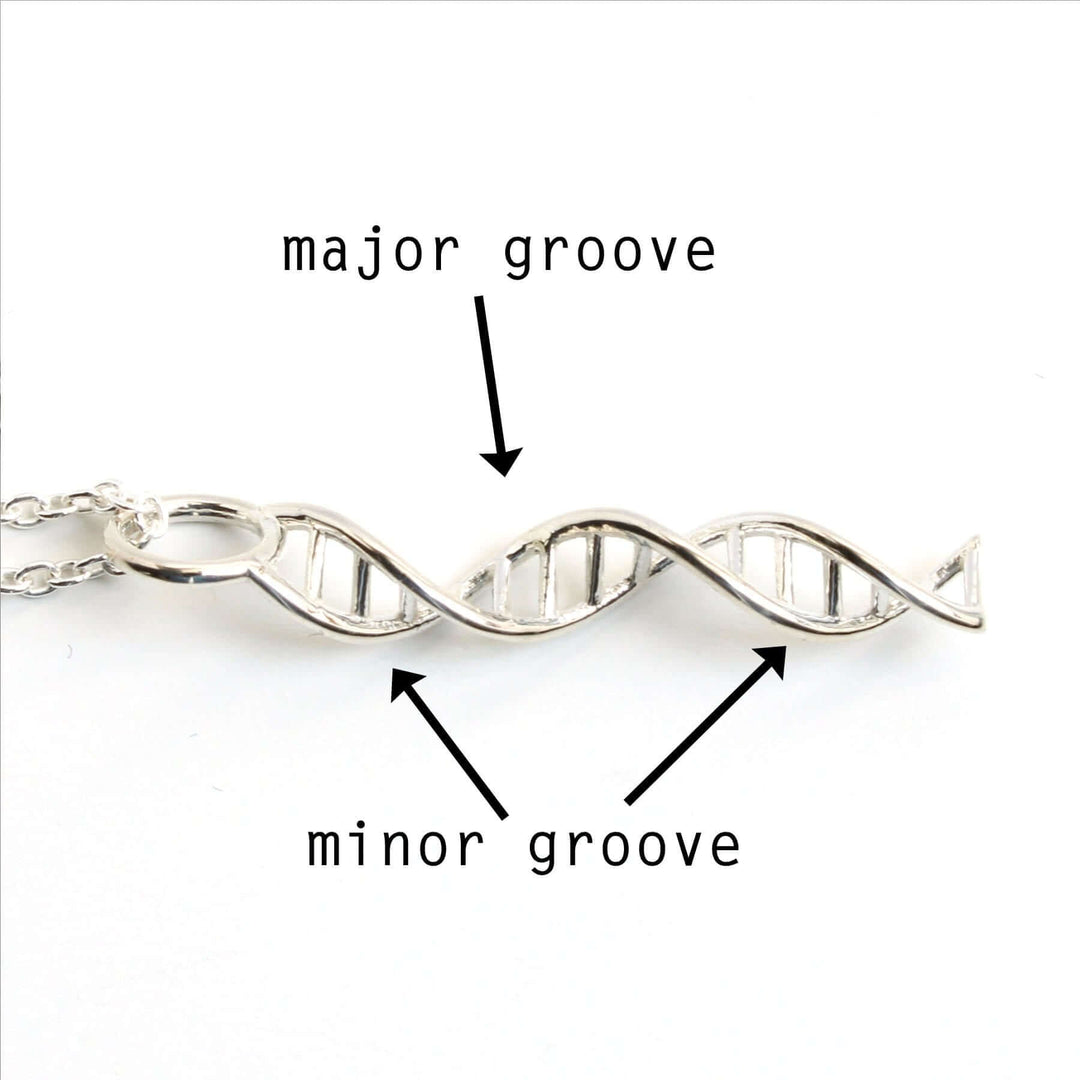 DNA pendant sterling silver Ontogenie