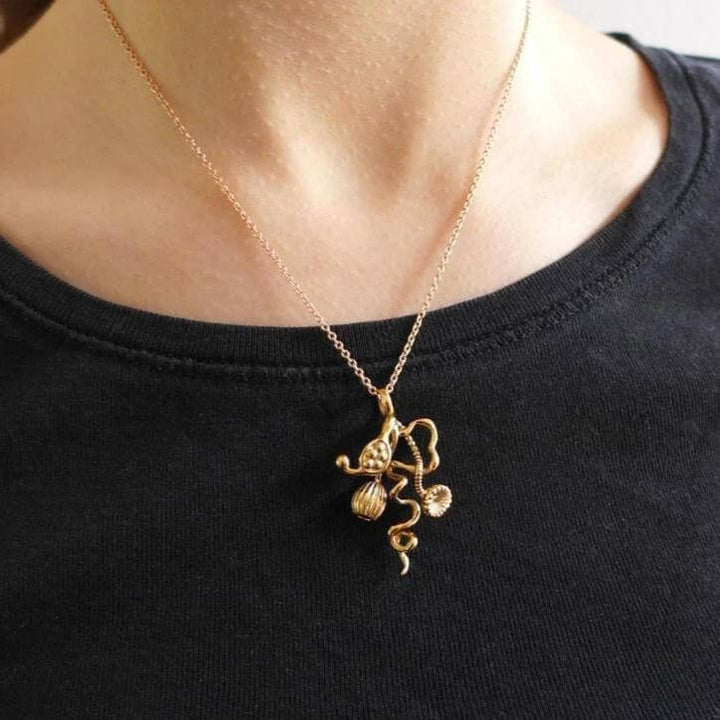 Opercularella Hydrozoan Pendant Marine Biology Ontogenie Science Jewelry
