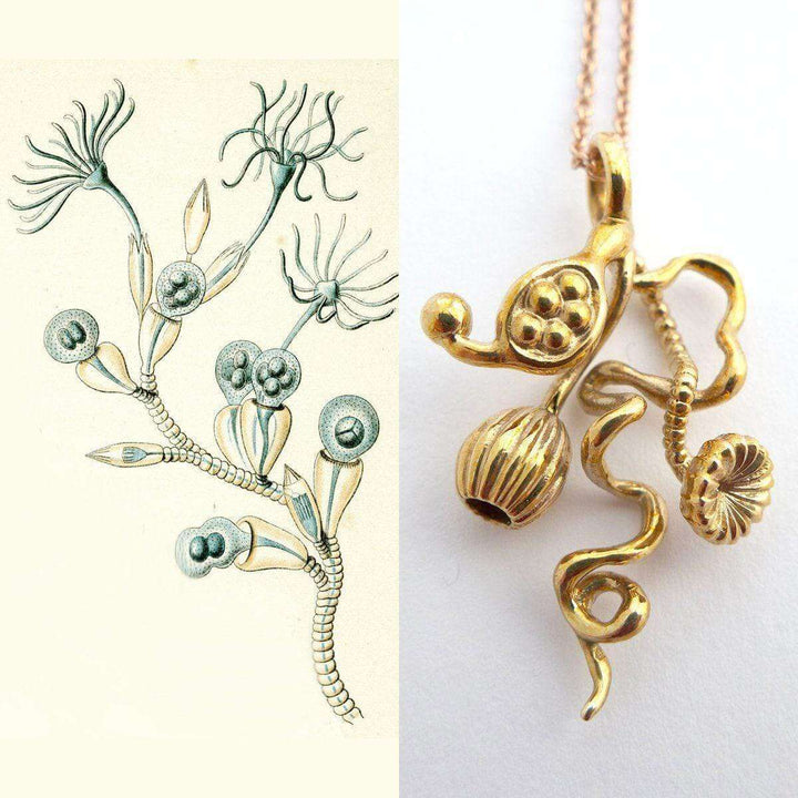 Opercularella Hydrozoan Pendant Marine Biology Ontogenie Science Jewelry