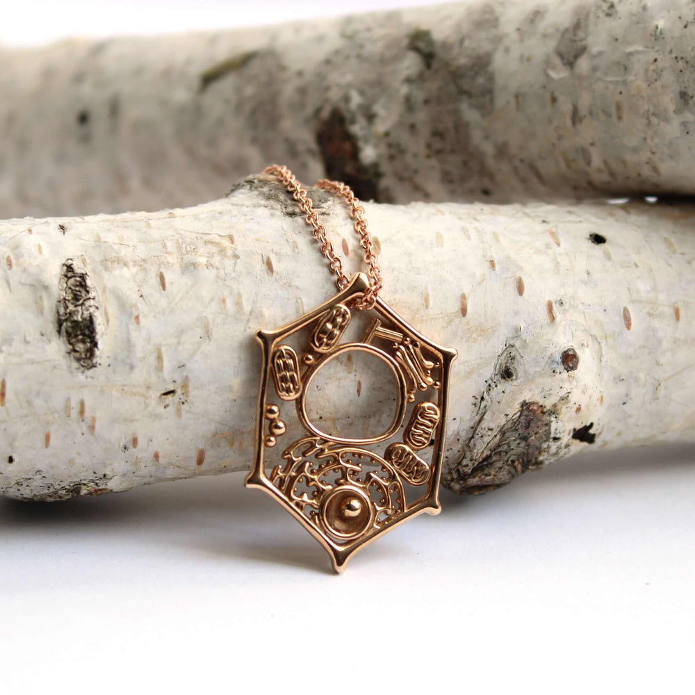 Plant Cell Pendant in polished bronze Ontogenie Science Jewelry
