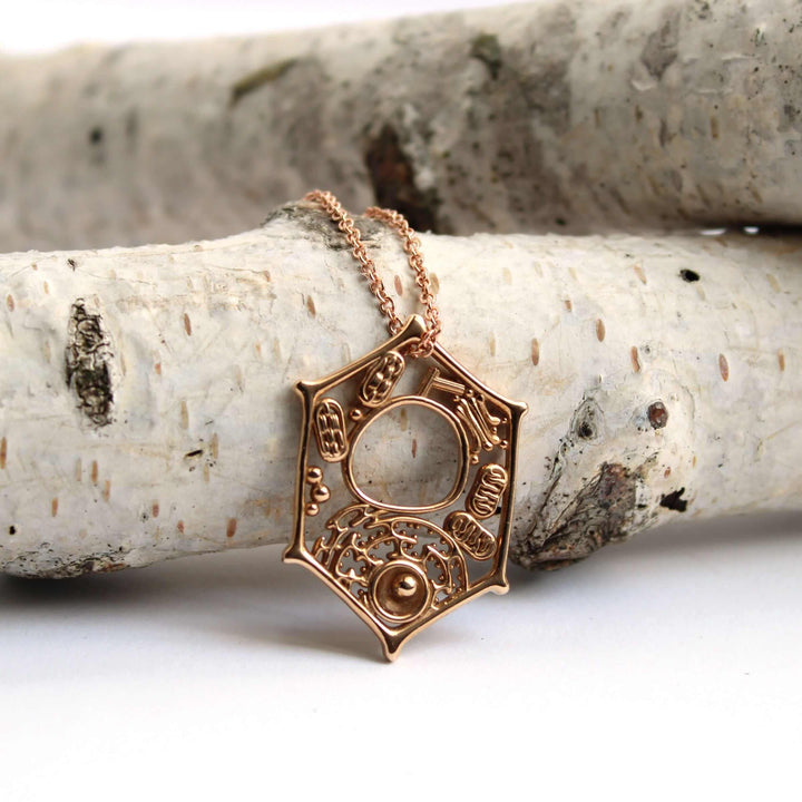 Plant Cell Pendant in polished bronze Ontogenie Science Jewelry