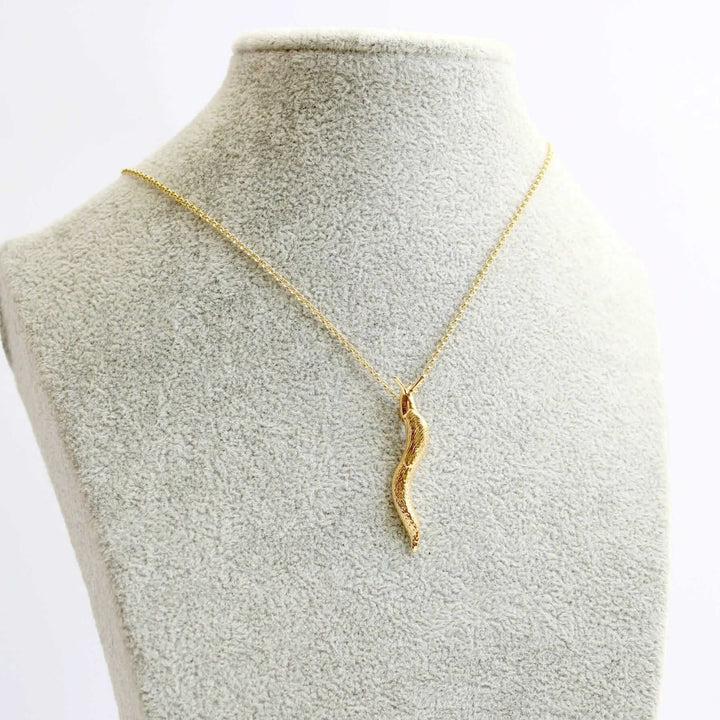 slug pendant ontogenie science jewelry mollusk biology