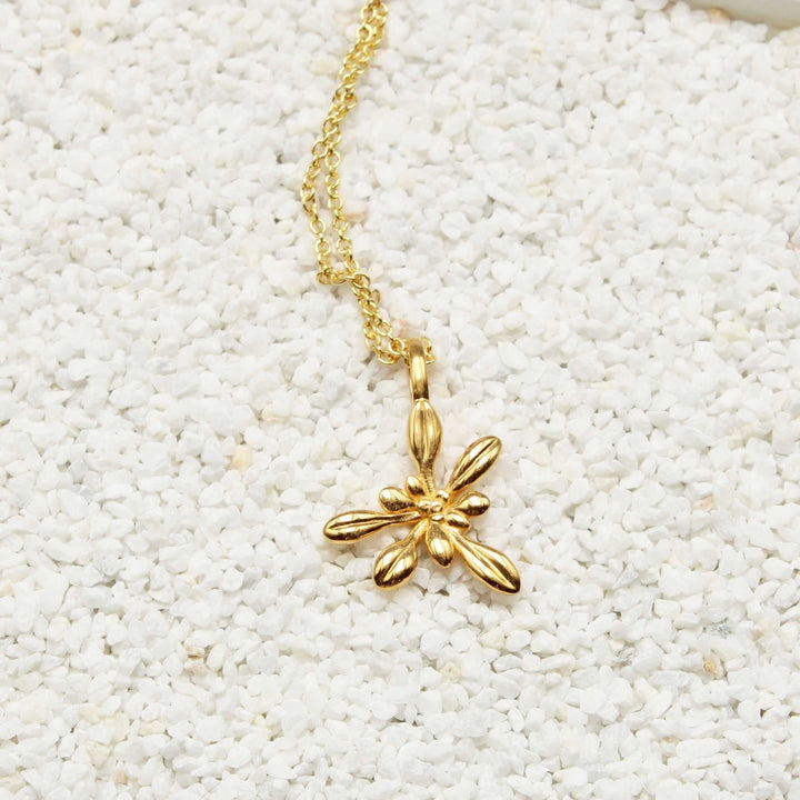 small arabidopsis pendant 14K gold plated brass ontogenie science jewelry