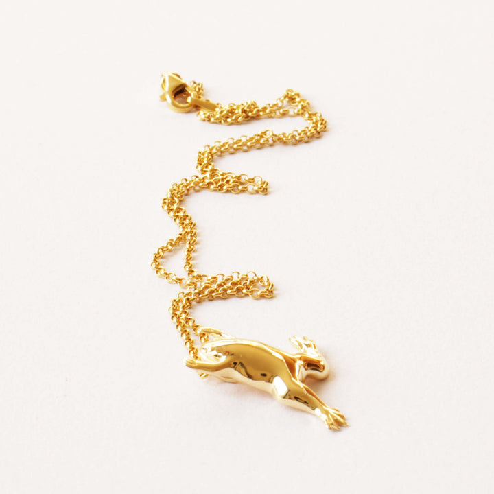 Xenopus African Clawed Frog Pendant in 14K gold plated brass by Ontogenie Science Jewelry