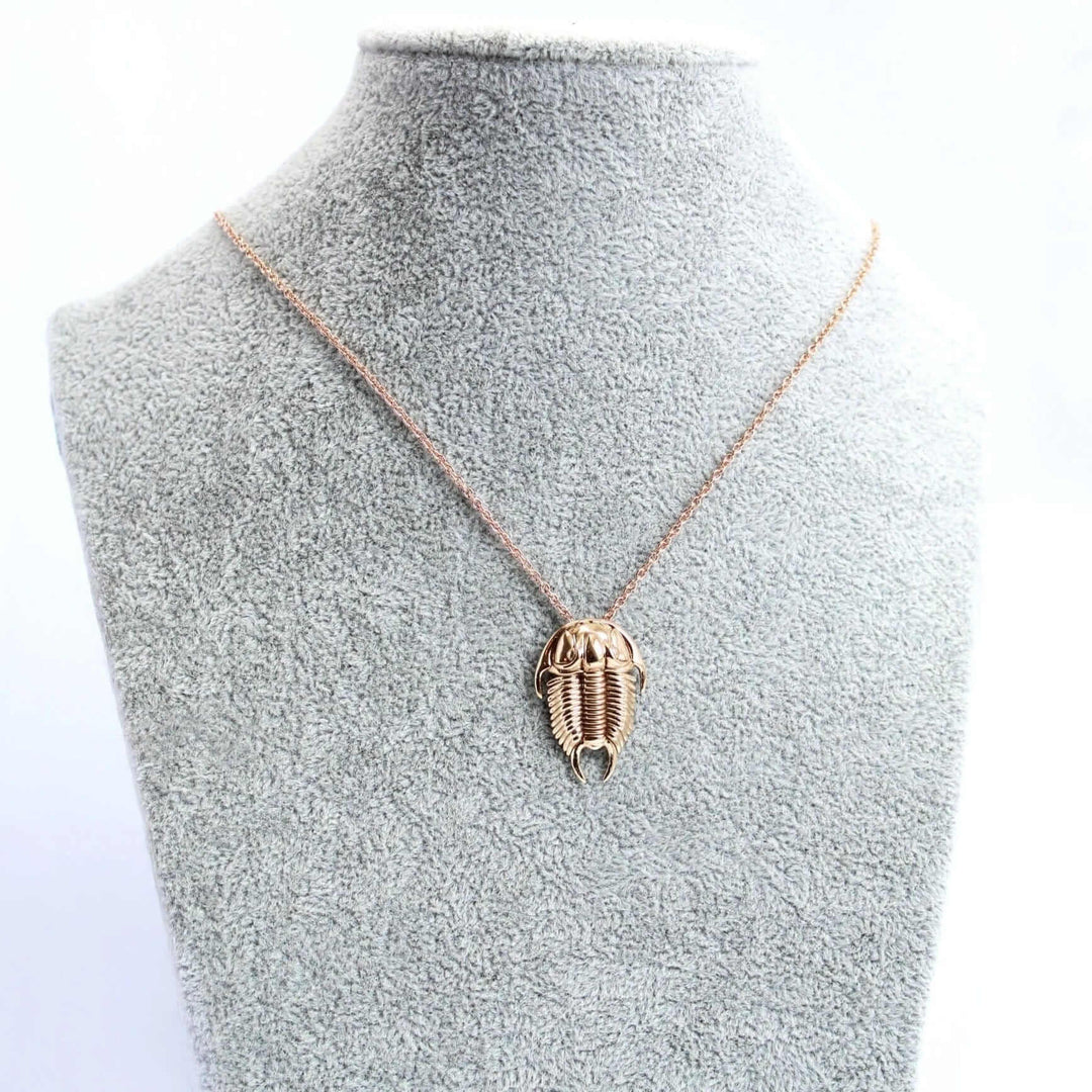 Trilobite Tricrepicephalus pendant ontogenie science jewelry paleontology