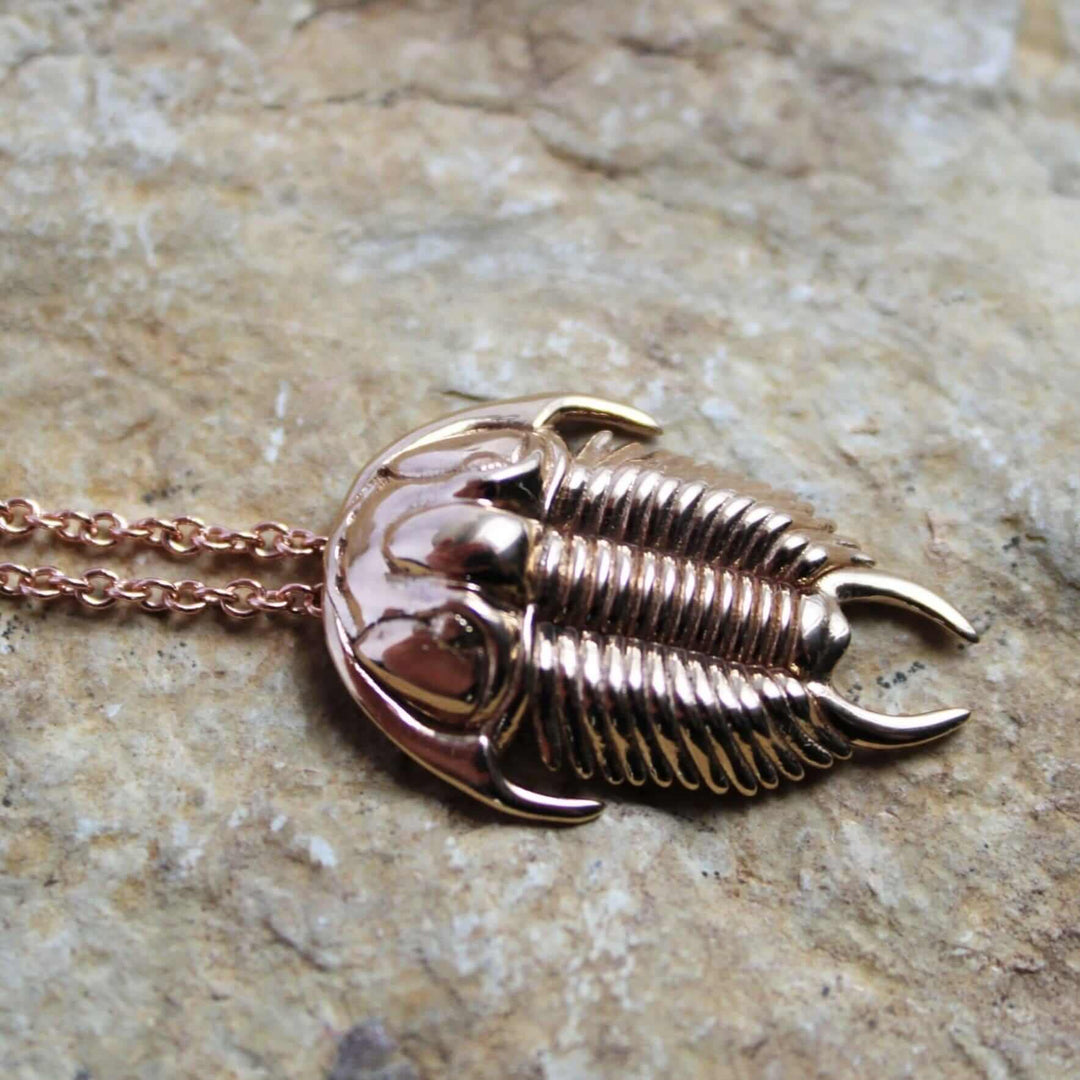 Trilobite Tricrepicephalus pendant ontogenie science jewelry paleontology