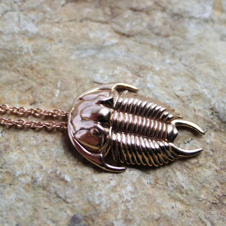 Trilobite Tricrepicephalus pendant ontogenie science jewelry paleontology