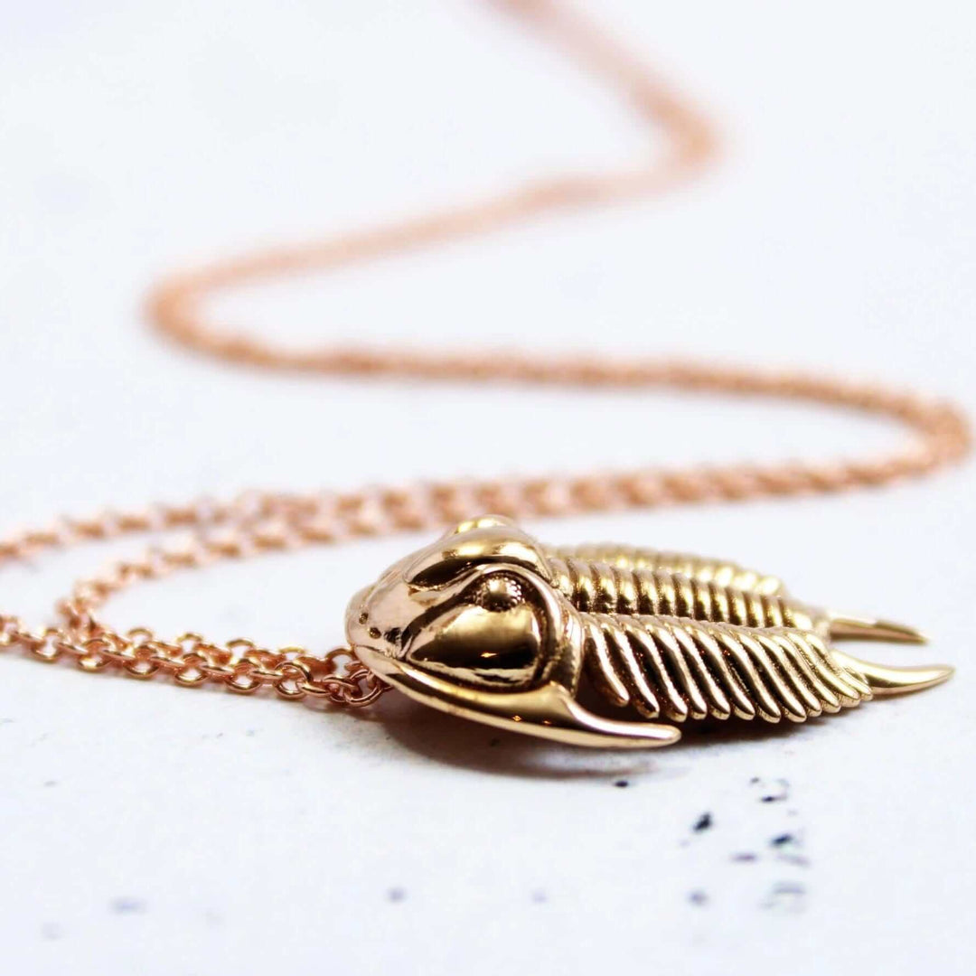 Trilobite Tricrepicephalus pendant ontogenie science jewelry paleontology