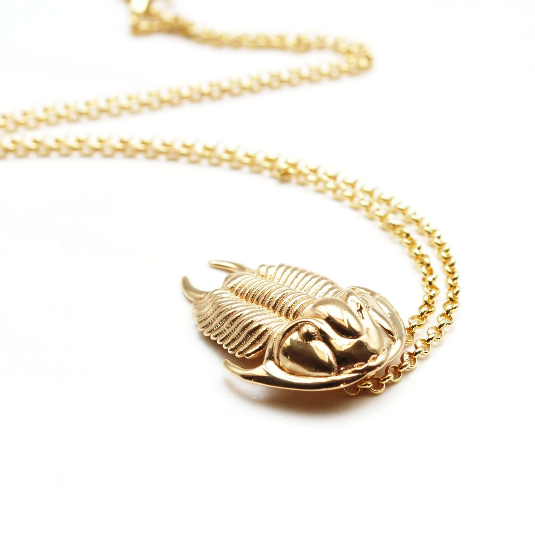 tricrepicephalus trilobite pendant in 14K gold plated brass ontogenie science jewelry