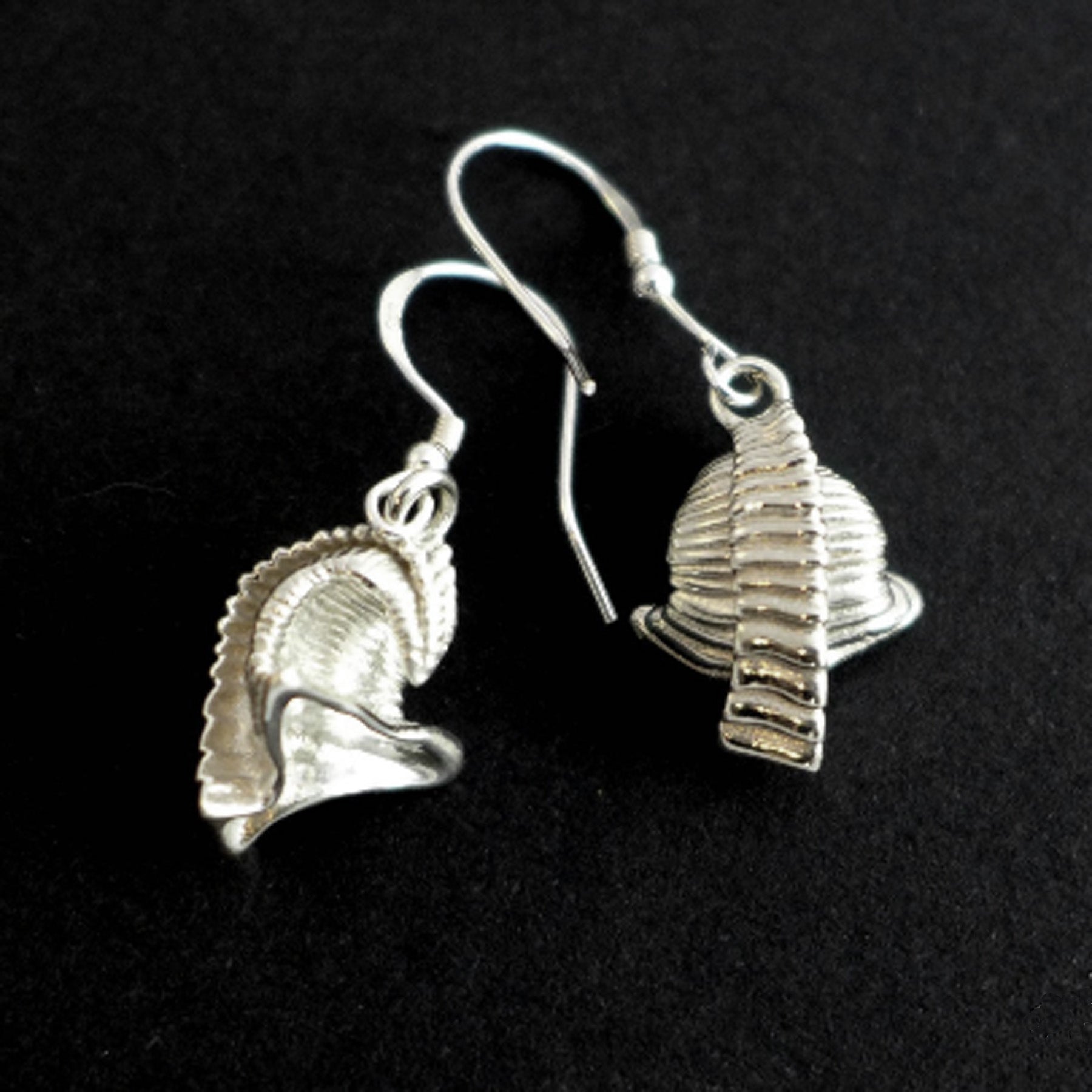 Sterling silver small shelly fossil dailyatia earrings