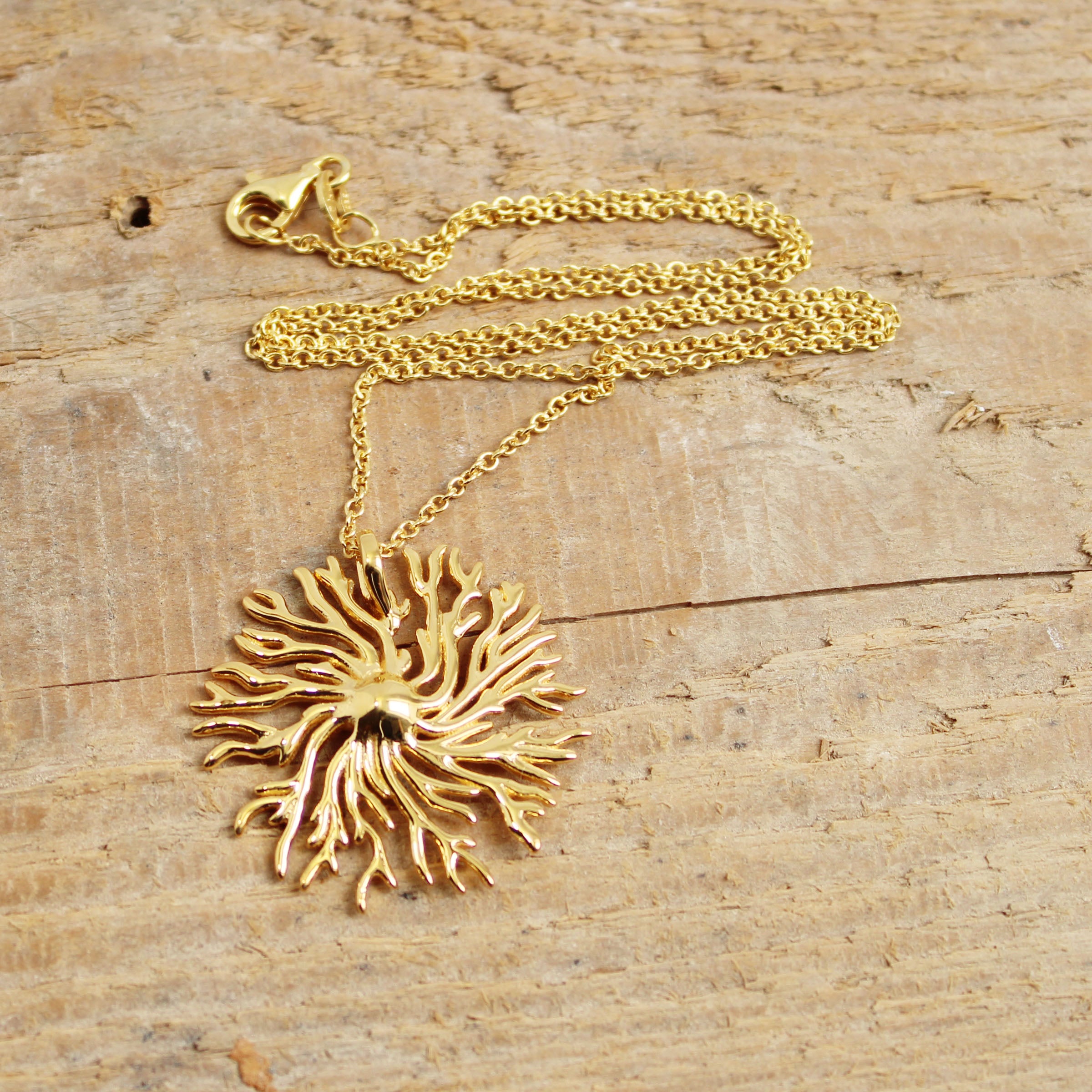 Dictyostelium slime mold pendant in 14K gold plated brass