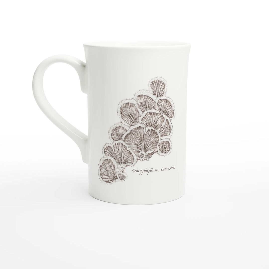 Split gill mushroom Schizophyllum commune slim mug