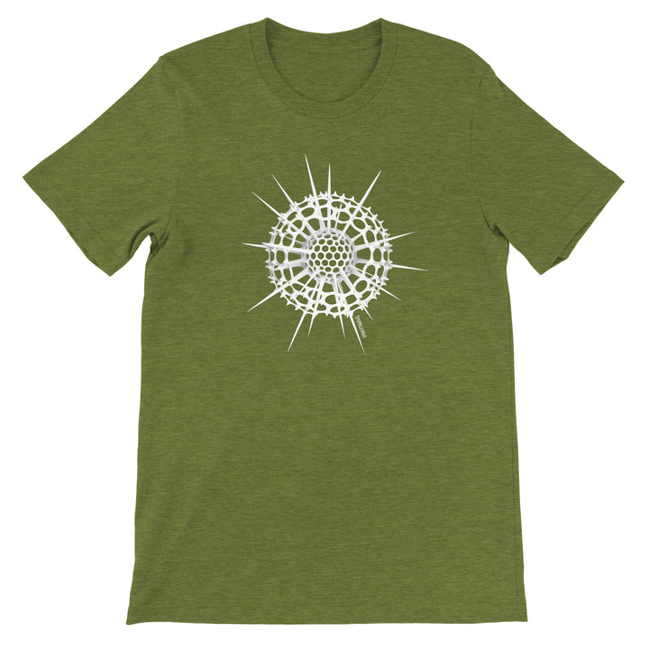 radiolaria t-shirt in heather green by ontogenie