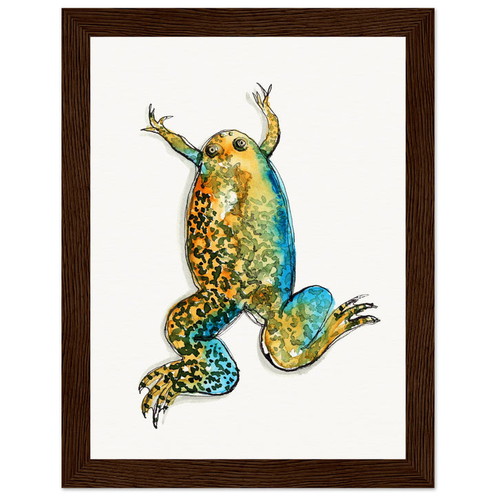 framed print of xenopus african clawed frog watercolor painting by ontogenie