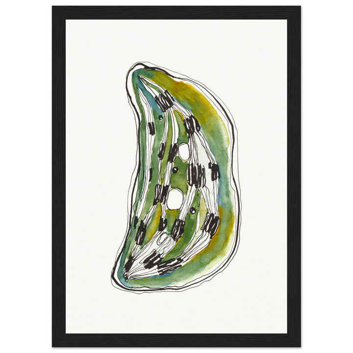 framed print of cell nucleus watercolor painting by ontogenie