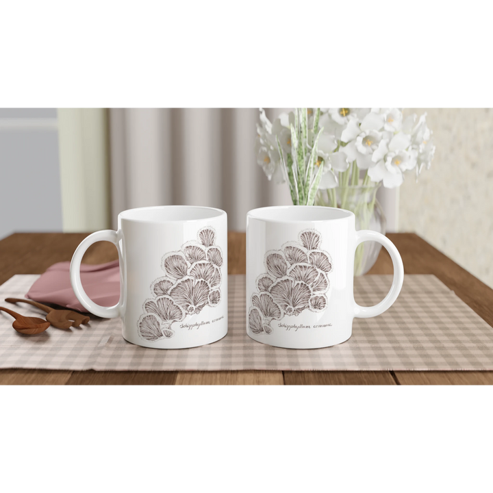 Split gill mushroom Schizophyllum commune standard mug