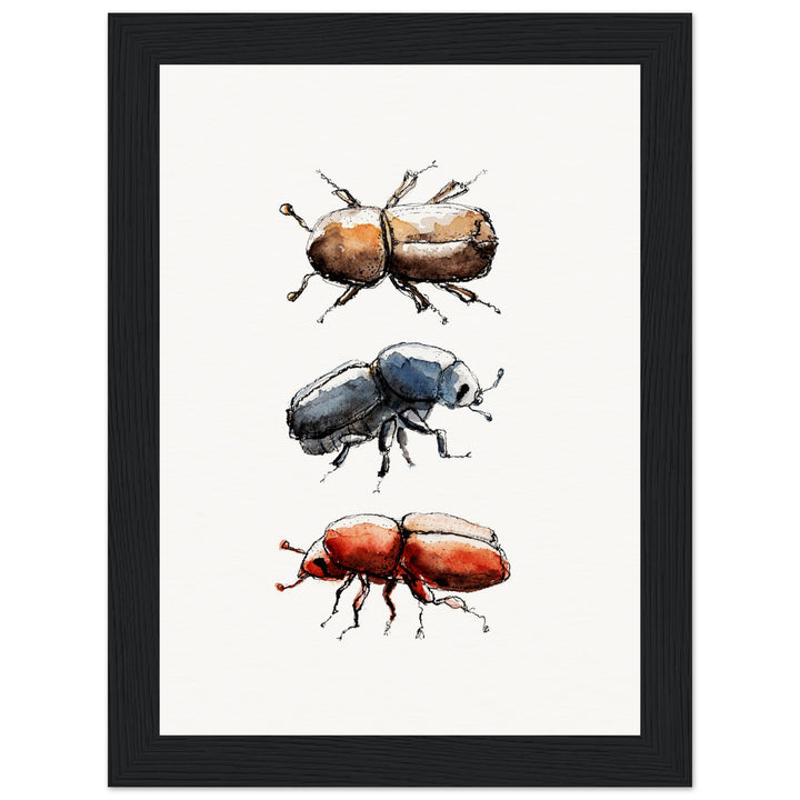 framed print of bark beetle watercolor painting by ontogenie