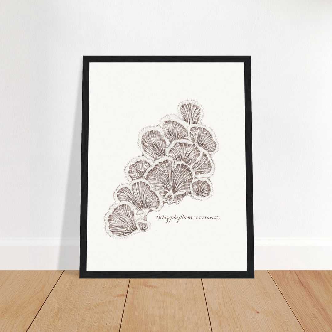 13644efa-81e6-49f0-9de2-158f2ff6f963