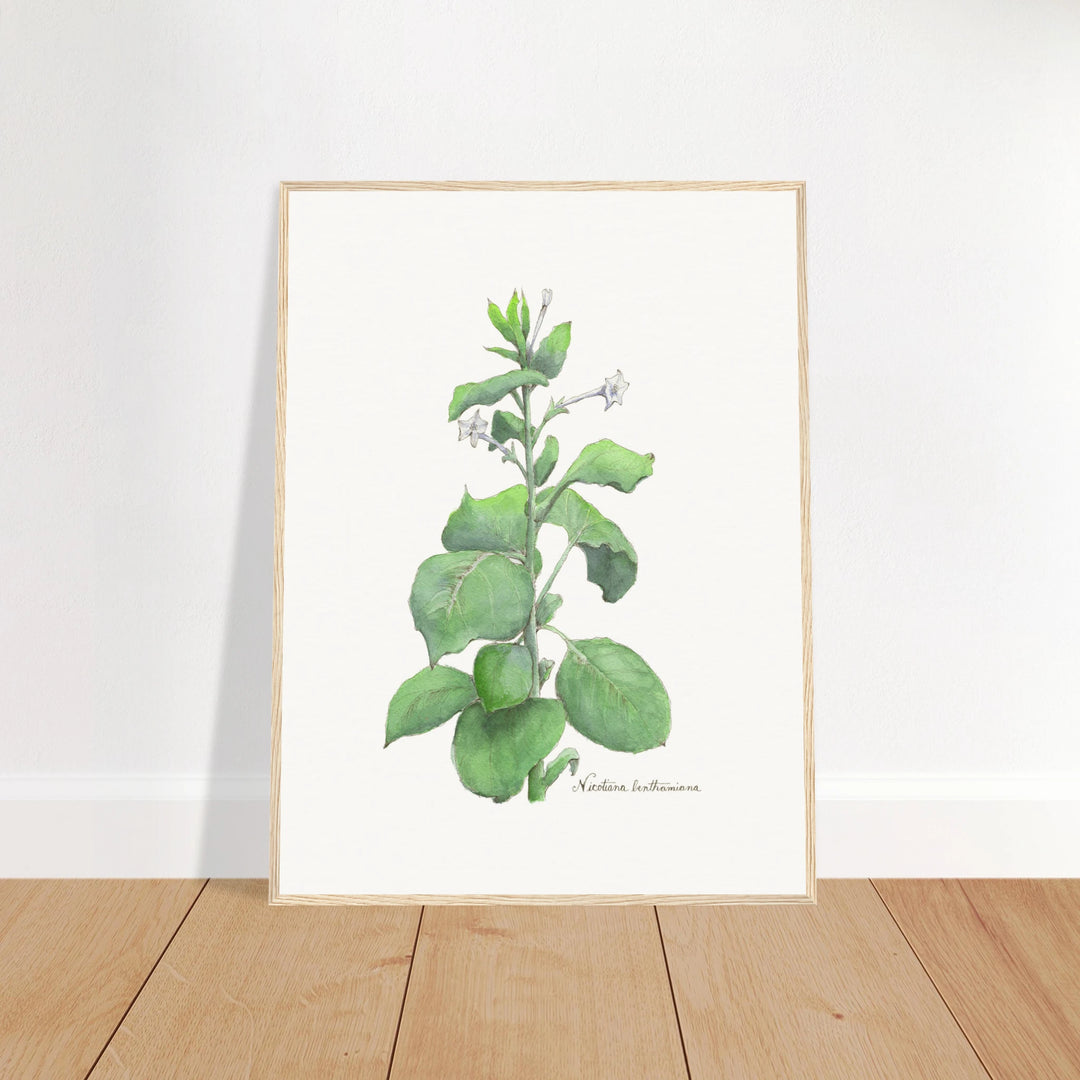 186e6598-09fe-4ab8-96b4-b0f34fe57044