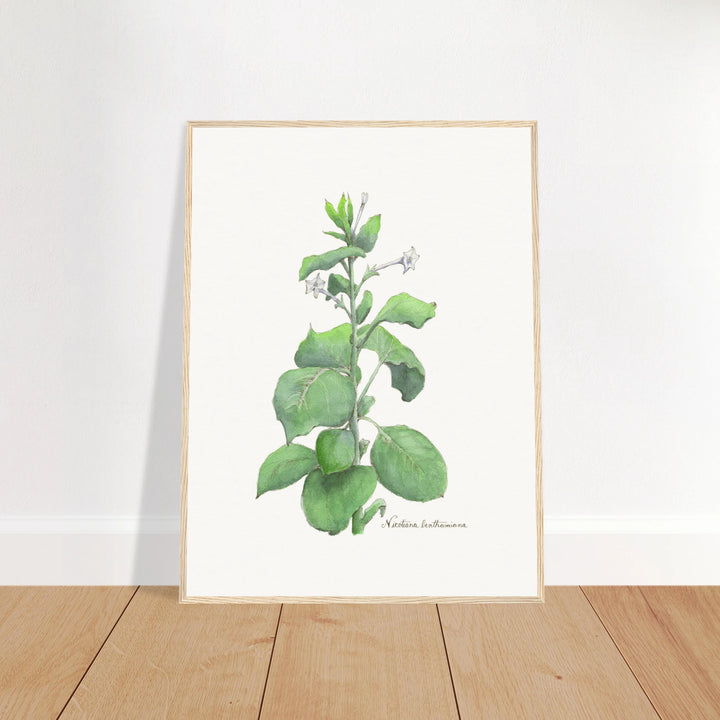 186e6598-09fe-4ab8-96b4-b0f34fe57044