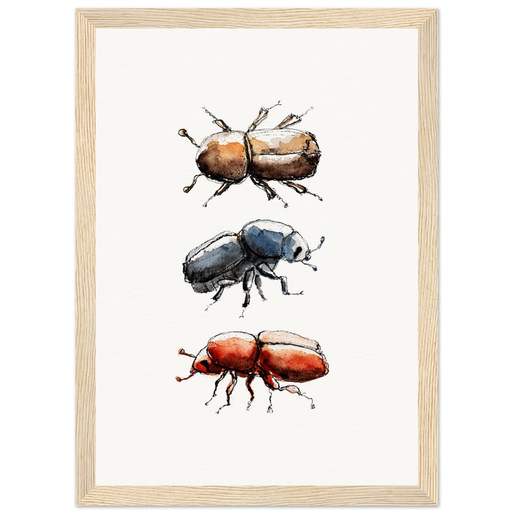 framed print of bark beetle watercolor painting by ontogenie