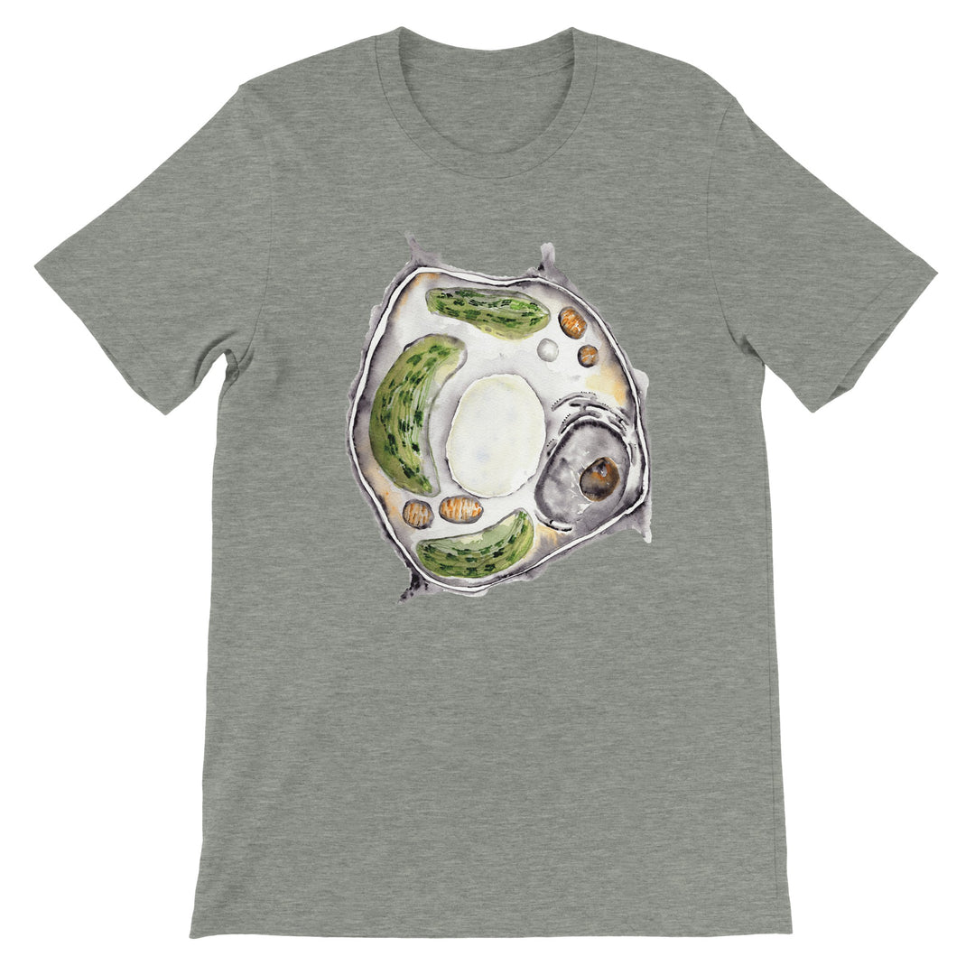 plant cell watercolor design on heather gray t-shirt by ontogenie