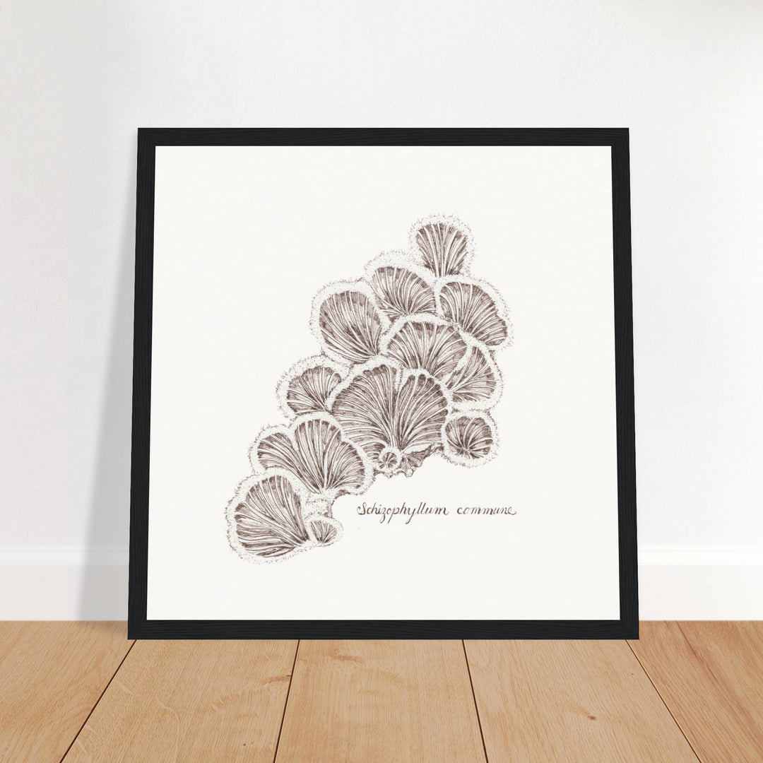 2514f9a2-a01d-47ca-a700-3dabdb03d9b9