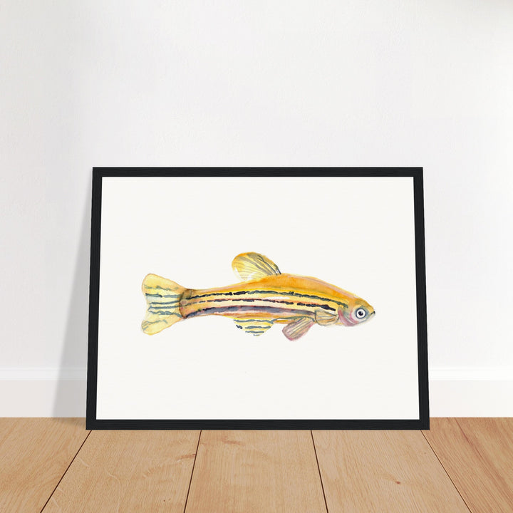 framed print of zebrafish watercolor painting by ontogenie