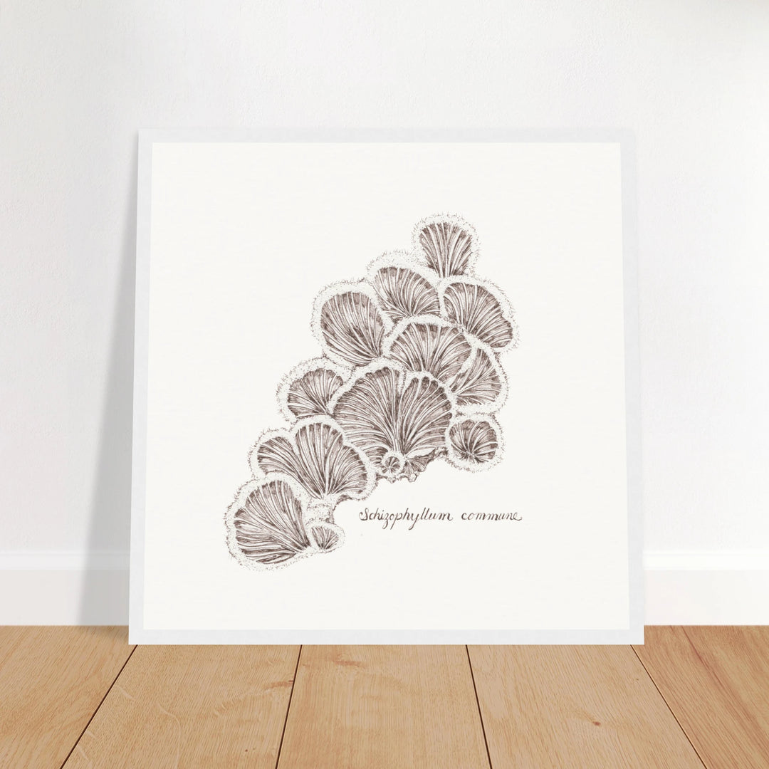 2b838c6c-fce9-41c1-9e72-2e8cd480587b