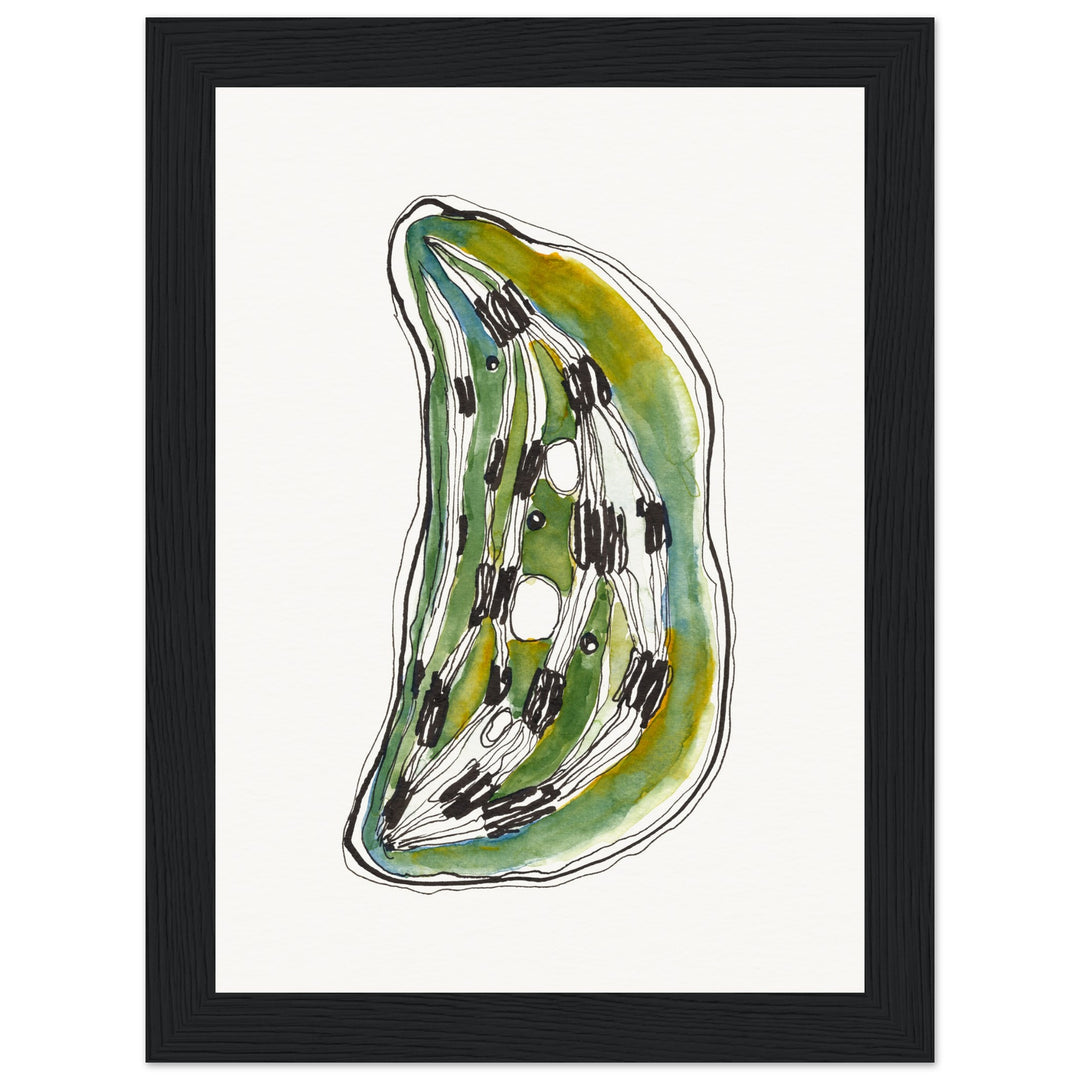 framed print of cell nucleus watercolor painting by ontogenie