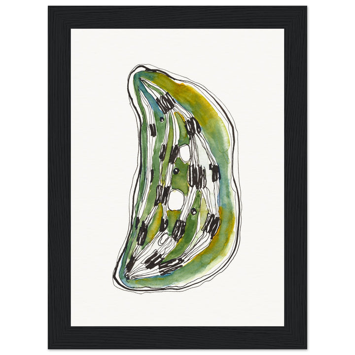 framed print of cell nucleus watercolor painting by ontogenie