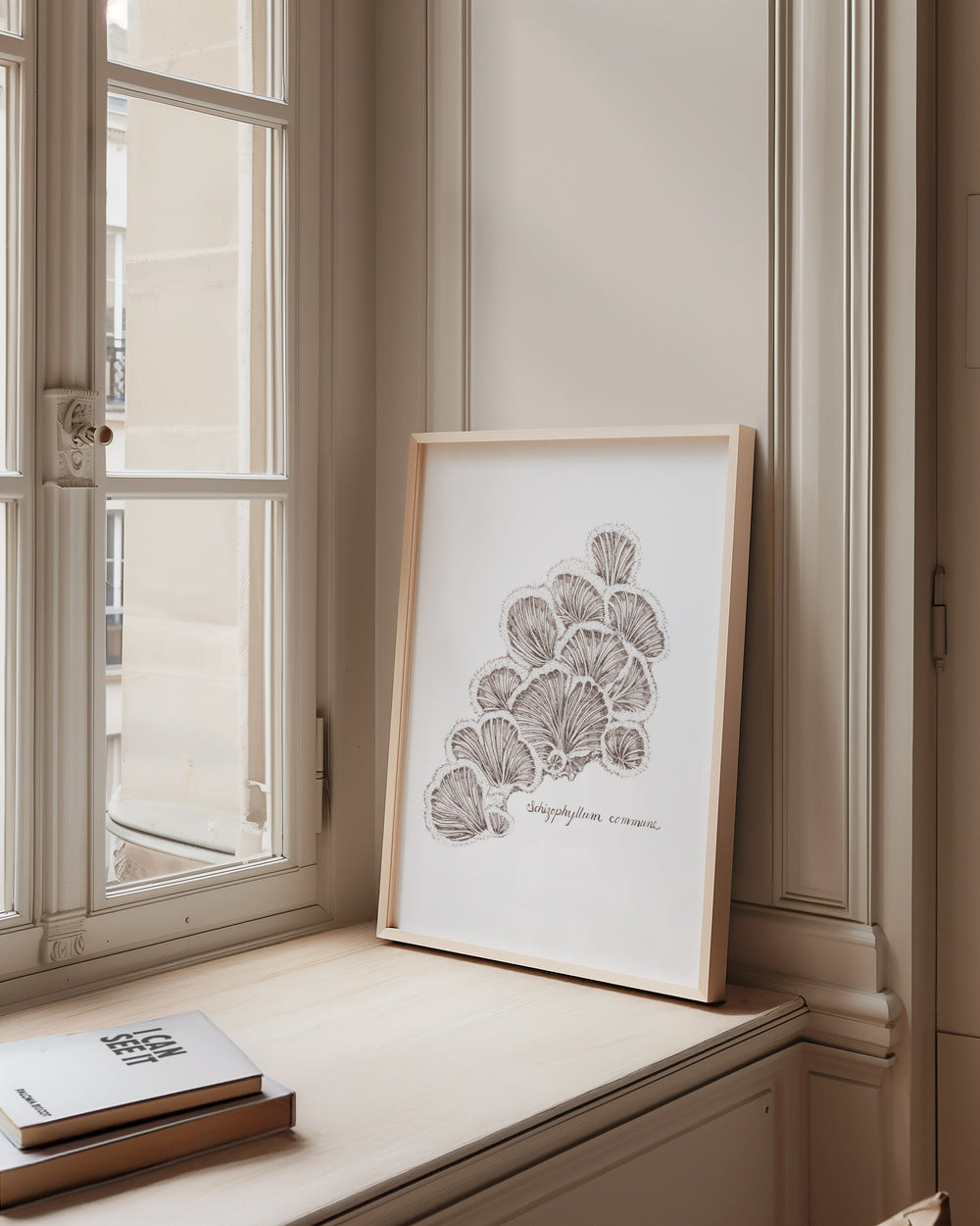 split gill mushroom schizophyllum commune pen and ink drawing, framed print