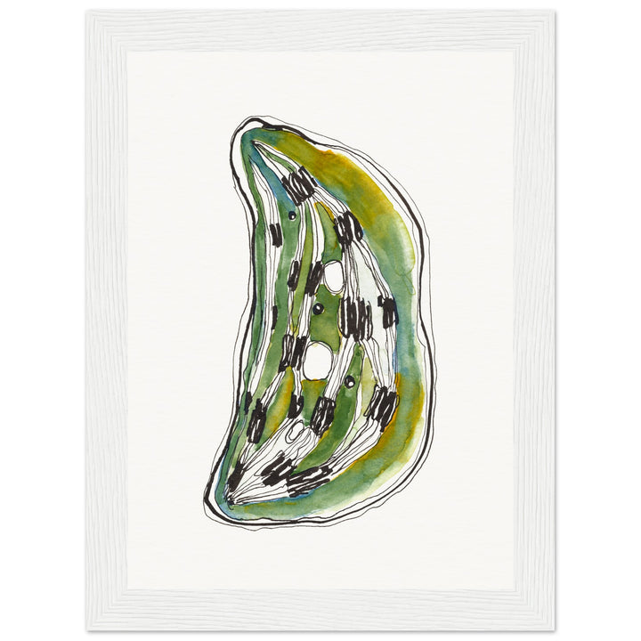 framed print of cell nucleus watercolor painting by ontogenie