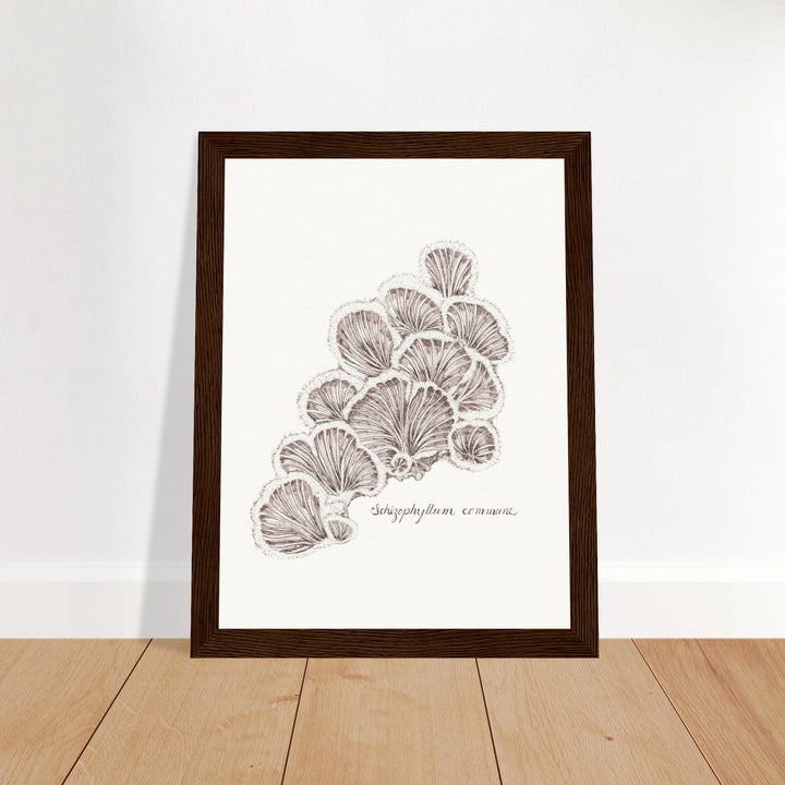 34c31472-088c-4314-a004-63070edfadcf