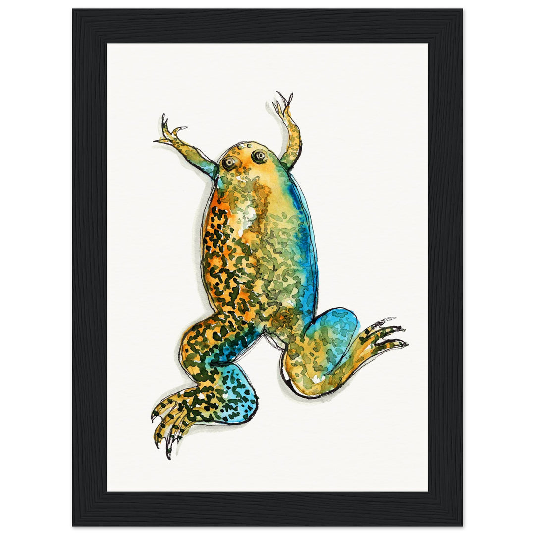 framed print of xenopus clawed frog watercolor painting by ontogenie